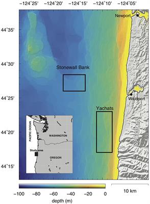 Observations of Shallow Methane Bubble Emissions From Cascadia Margin
